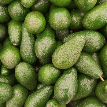 Notizie dal blog: Tutti amano l'avocado!