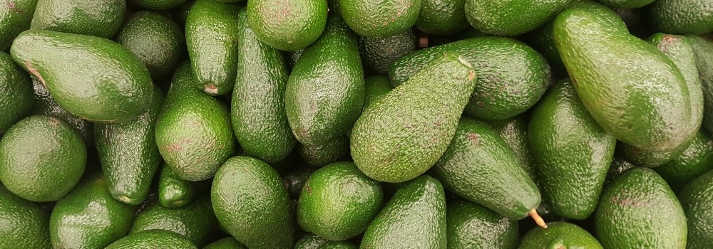 Tutti amano l'avocado!