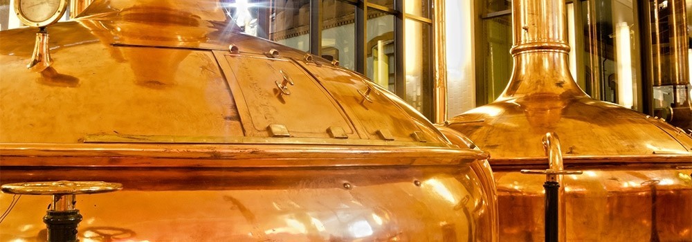 Notizie dal blog: Birra: la magia della fermentazione